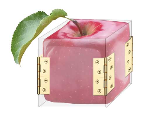 New Belgian gadget grows square apples
